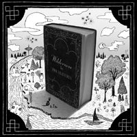 The Features - Wilderness